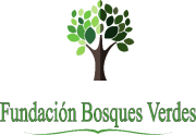 Fundacion-Bosques-Verdes